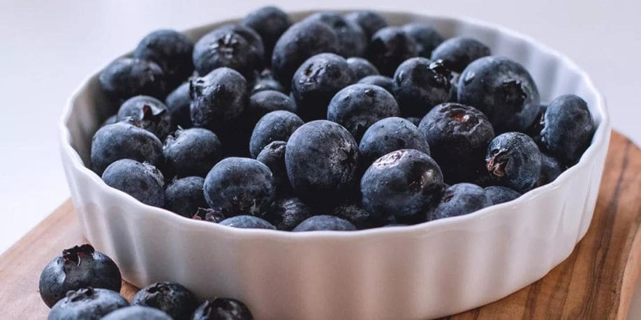 Imagen del artículo Westfalia Fruit Perú se suma al boom de los arándanos: los planes de exportación